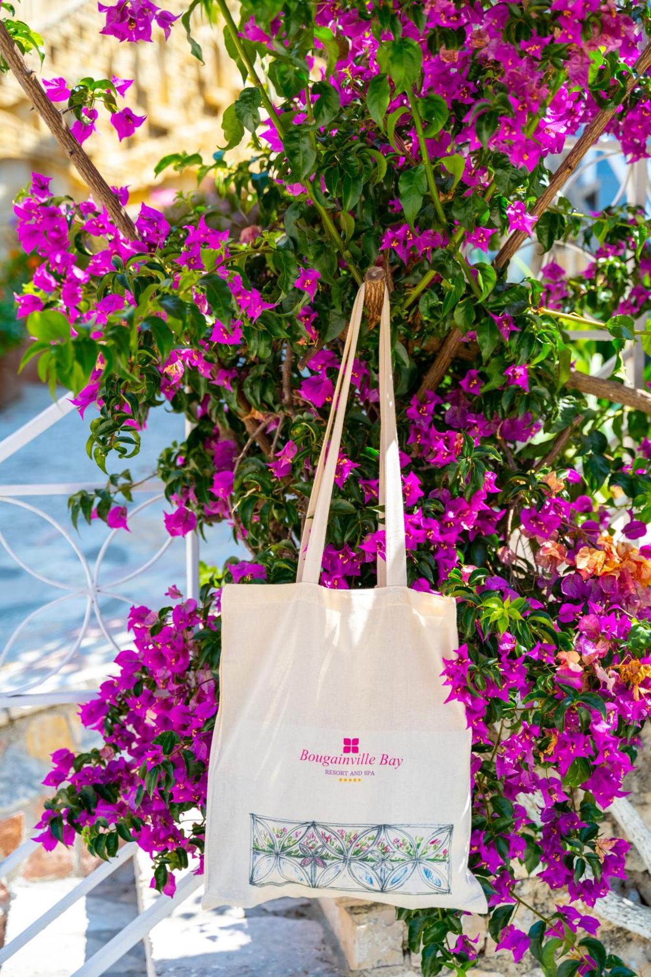 Bougainville Bay Hotel Sarandë エクステリア 写真 A tote bag